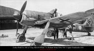 Asisbiz Focke Wulf Fw 190A5 Erg.SKG10 White 7+o Helmut Wenk WNr 5381 Cognac Frankreich 1943 01