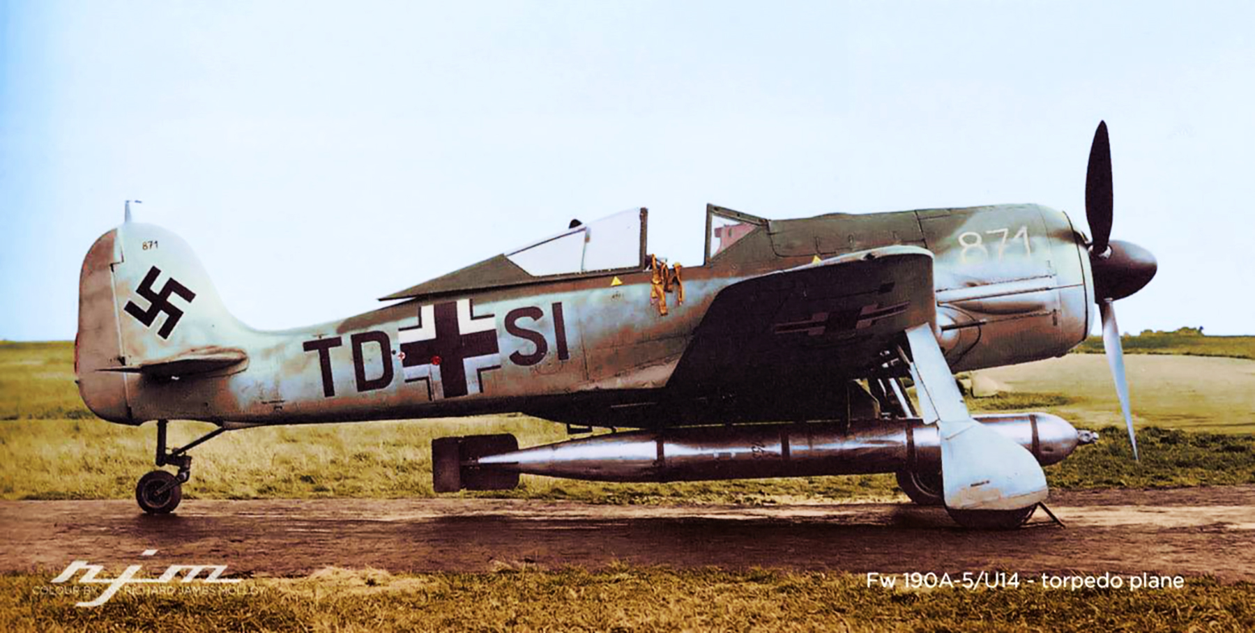 Asisbiz Artwork Profile Focke Wulf Fw 190a5 U 14 Torpedo Td Si White 871 Wnr Germany 0a