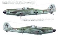 Asisbiz Focke Wulf Fw 190D9 13.JG51 White 11 Heinrich Baumann WNr 213097 Flensburg Weiche 6th May 1945 Avions 165 P22