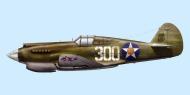 Asisbiz Curtiss Hawk 81A 18PG78PS Whie 300 Bellows Field Hawaii 1941 0A