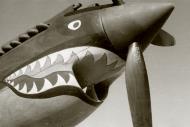 Asisbiz Curtiss Hawk 81A2 AVG 23PG shark mouth designs 01
