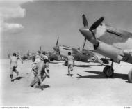 Asisbiz Curtiss Tomahawk IIbs RAAF 3Sqn pilots during a scramble Western Desert 23rd Dec 1941 AWM 010923