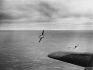 Asisbiz Curtiss Tomahawk RAF 1686BDTF Bomber (Defence) Training Flight in 1943 IWM CH5865