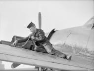 Asisbiz Fleet Air Arm Grumman Hellcat FN327 being rearmed at RAF Wittering 27th Oct 1943 IWM A20019