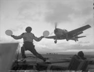 Asisbiz Fleet Air Arm Grumman Hellcat I on final approach for landing aboard HMS Ravager IWM A21287