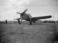 Asisbiz Fleet Air Arm Grumman Hellcat at NAS Lee on Solent 13 17th Sep 1943 IWM A19268