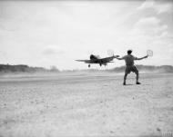 Asisbiz Fleet Air Arm Hellcat landing at NAS Puttalam and NAS China Bay Jul 1944 IWM A25332