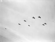 Asisbiz Fleet Air Arm Hellcats flown by Dutch pilots from HMS Furious after Tirpitz strike 1944 IWM A24770