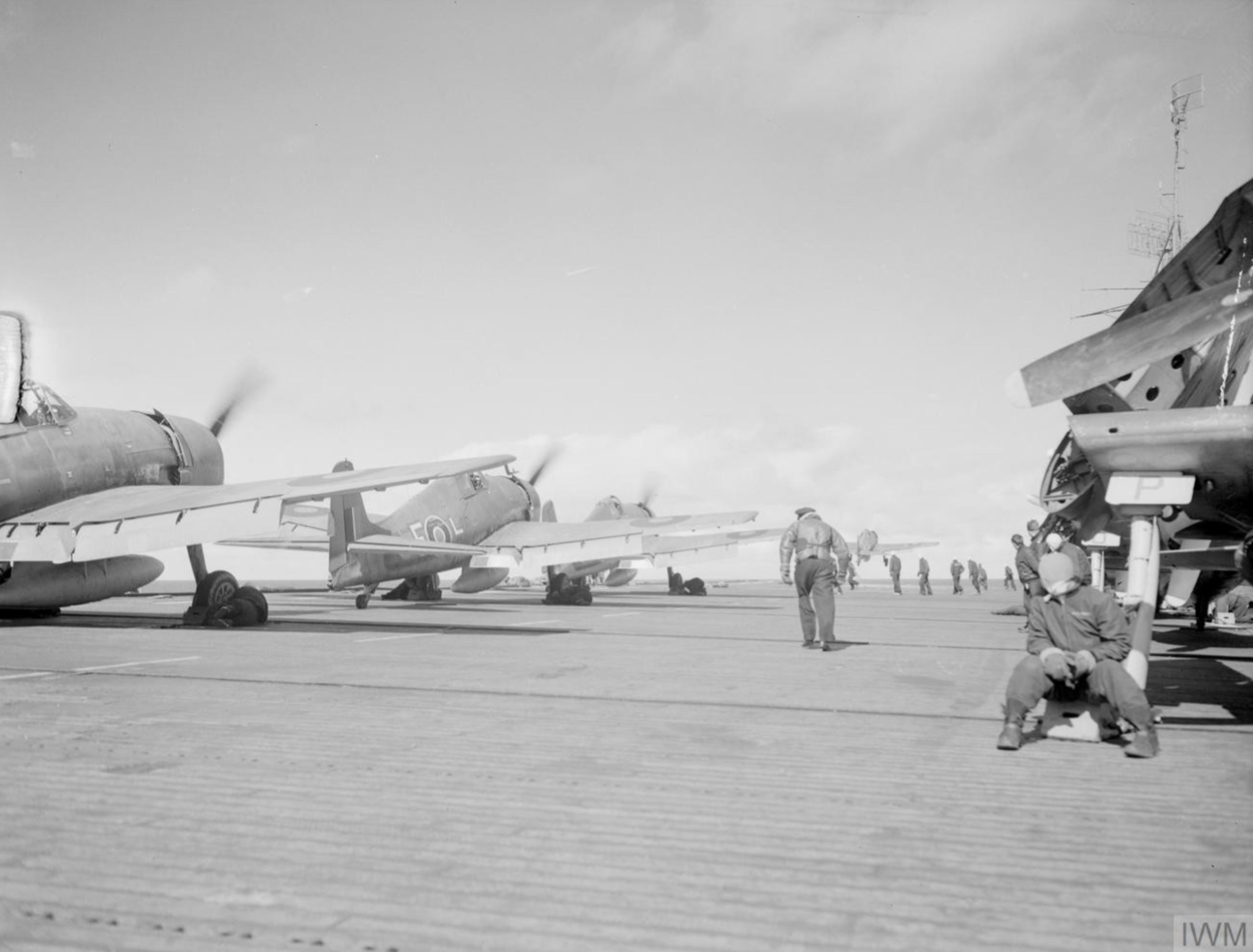 Asisbiz Fleet Air Arm 804NAS Hellcats aboard HMS Emperor of the ...