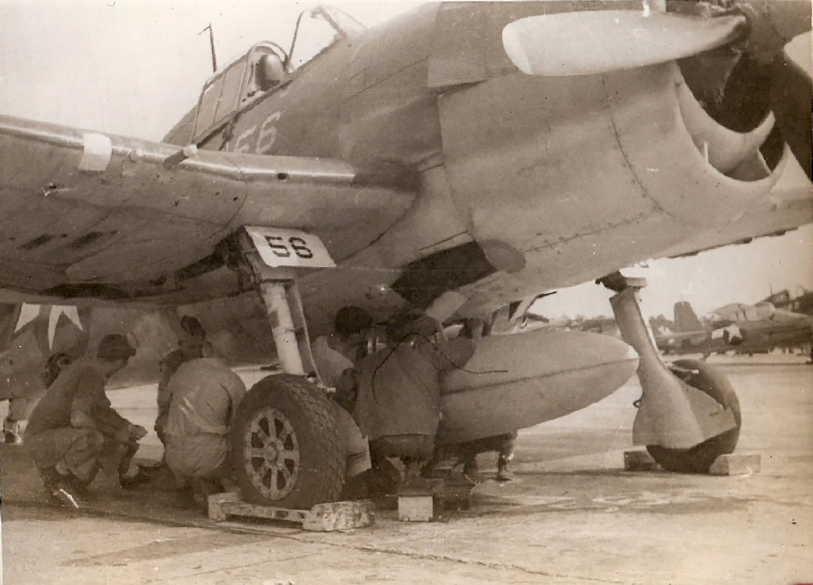 Asisbiz Grumman F6F-5N Hellcat VMFN 541 White FN56 at Peleliu Sep 1944 01