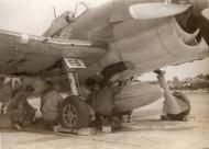 Asisbiz Grumman F6F 5N Hellcat VMFN 541 White FN56 at Peleliu Sep 1944 01