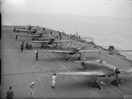 Asisbiz Fleet Air Arm 800NAS Sea Hurricane IIb 7E AF955 HMS HMS Victorious 1941 IWM A11286