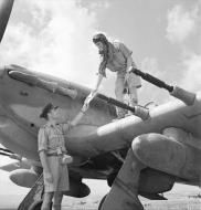 Asisbiz Hawker Hurricane II courier aircraft at Lentini Sicily 1943 IWM CNA1855