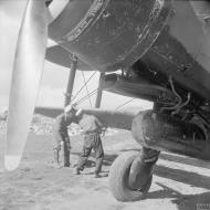 Asisbiz Fleet Air Arm Fairey Albacores used to bolster Maltas defenses 1942 IWM A16121
