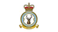Asisbiz RAF 33Sqn emblem