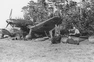 Asisbiz Junkers Ju 87B1 Stukas White I and J unknown unit 01