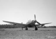 Asisbiz Junkers Ju 87D5 Stuka 1.SG3 (S7+HH) at Immola 28th Jun 1944 01