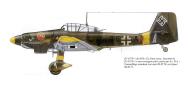 Asisbiz Junkers Ju 87D3 Stuka 5.StG2 (T6+AN) Gunther Schmid Russia 1942 0B