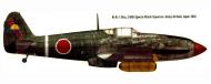 Asisbiz Artwork Tony Ki 61 I Otsu 149 Shinbu tai Ashiya Airfield Japan 1945 0A