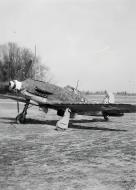 Asisbiz Luftwaffe Macchi MC202 Folgore JG106 Black 13 Konrad Augner Orange France ebay 01