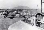 Asisbiz Messerschmitt Me 210C Hornet 8.KG1 2N+AS Tunisia 1942 02