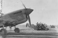 Asisbiz USAAF 41 14270 Curtiss P 40F Warhawk 12AF 33FG Belchin Bessie at Port Lyautey Morocco Nov 1942 02