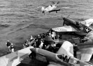 Asisbiz USAAF 41 14365 Curtiss P 40F Warhawk 33FG aboard USS Chenango CVE 28 North Africa 01