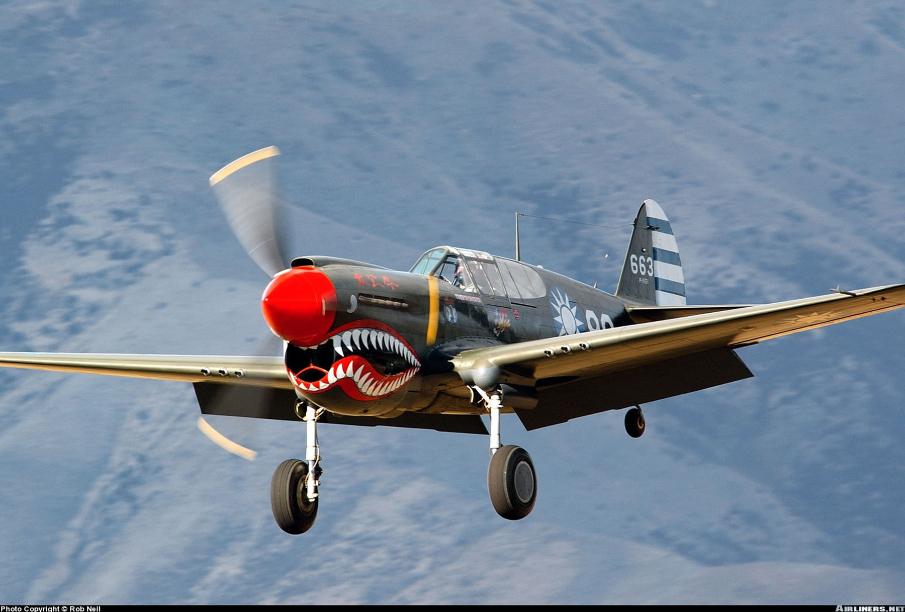 Asisbiz Airworthy Warbird Curtiss P 40N Warhawk NZ3009 Flying Tigers 88 04