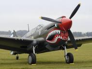 Asisbiz Curtiss P-40N Warhawk 3FG8FS White 13 Pilot Raymond L. Callaway ...