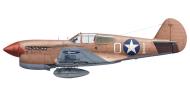 Asisbiz Curtiss P 40F Warhawk 57FG White 01 Col Frank H Mears CO Muqueibila Palestine Aug 1942 0A