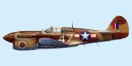 Asisbiz Curtiss P 40F Warhawk 57FG65FS White 47 Alfred Fronning Italy 1943 0A