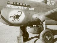 Asisbiz Curtiss P 40K Warhawk 57FG64FS 34 named Messerschmitt Bait Lt William Jenks Tunisia 1943 01