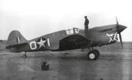 Asisbiz USAAF 41 14235 Curtiss P 40F Warhawk 57FG66FS White 01 Col Art Salisbury Tunisia May 1943 01