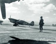 Asisbiz USAAF 41 19913 Curtiss P 40F Warhawk 57FG64FS White 21 at Maison Blanche Algiers May 1943 NA710