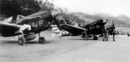 Asisbiz USAAF 42 105477 Curtiss P 40N Warhawk 5AF 8FG35FS D Cape Gloucester 1944 01