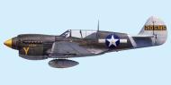 Asisbiz USAAF 42 105745 Curtiss P 40N Warhawk 8FG35FS West New Guinea 1944 0A