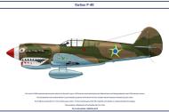 Asisbiz Curtiss P 40E Warhawk FAB Black 01 Brazil 1942 0A