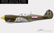 Asisbiz Curtiss P 40N Kittyhawk NEIAF 120Sqn C3 534 SNAFU White H Merauke Dutch New Guinea 1944 0B