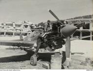 Asisbiz Curtiss P 40 Kittyhawk RAAF 450Sqn under maintenance Cervia Italy May 1945 AWM MEB0299