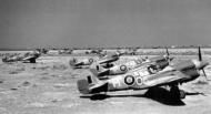 Asisbiz Curtiss P 40E Kittyhawk RAAF 450Sqn OKM FRxxx Libya 1942 01