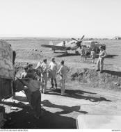 Asisbiz Curtiss P 40L Kittyhawk RAAF 450Sqn OKx returns to its base at Foggia Italy 1943 AWM MEA0859