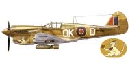 Asisbiz Curtiss P 40N Kittyhawk RAAF 450Sqn OKD FR835 Boxing Kangaroo Italy 1943 0A