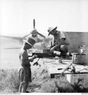 Asisbiz RAAF 450Sqn Tomahawk being rearmed in Sicily 1943 AWM MEA0444