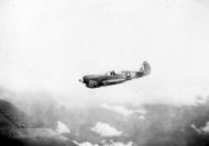 Asisbiz USAAF 44 7847 Curtiss P 40N Kittyhawk RAAF 75Sqn GAG A29 1021 Hep Cat over PNG 01