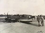Asisbiz Curtiss P 40N Kittyhawk RAAF 76Sqn Coppertop belly landed at Momote Admiralty Isl Apr 1944 AWM OG1791
