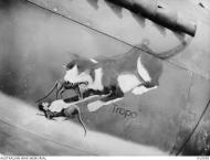Asisbiz Curtiss P 40 Kittyhawk RAAF 77Sqn Tropo FO AWC Morrison at Vivigani Goodenough Island 2nd Jul 1943 AWM OG0056