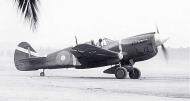 Asisbiz USAAF 43 5505 Curtiss P 40M Kittyhawk RNZAF 14Sqn NZ3072 Black 19 Wairarapa Wildcat Guadalcanal 02