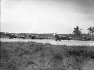 Asisbiz USAAF 43 5505 Curtiss P 40M Kittyhawk RNZAF 14Sqn NZ3072 Black 19 with NZ3060 Kukum Guadalcanal 01