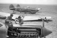 Asisbiz Curtiss Kittyhawk SAAF 4Sqn KJA Goubrine area of Tunisia 1943 IWM CNA773