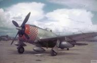 Asisbiz USAAF Republic P 47D Thunderbolt 10AF 48th Fighter Group IWM FRE13693